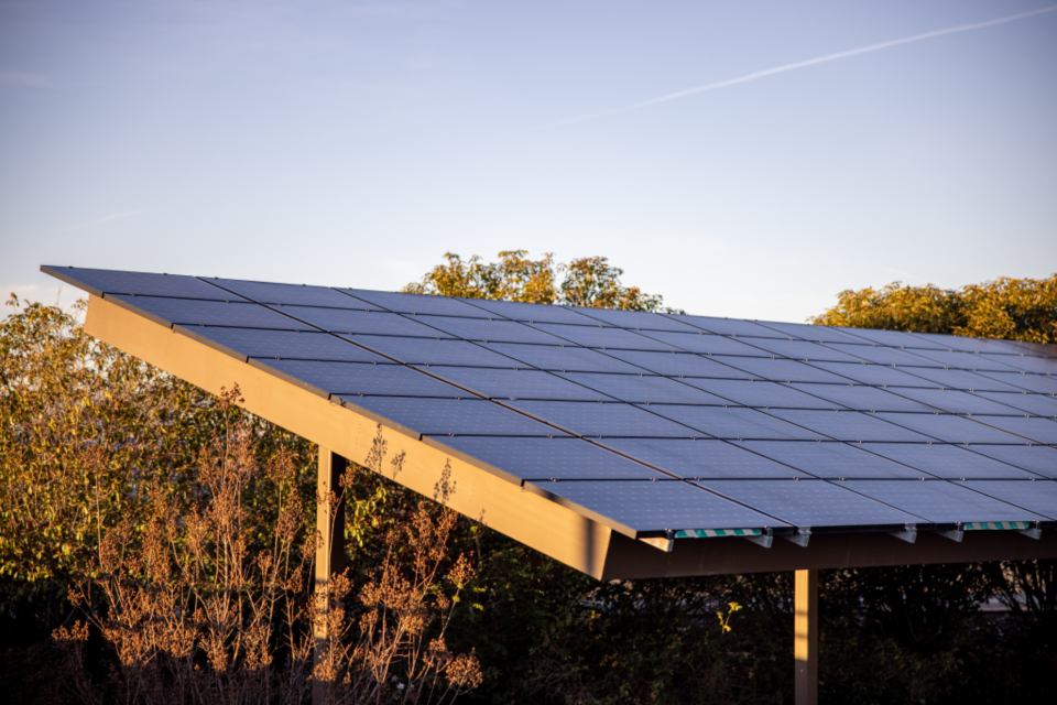 Solar panels mounted on a frame above trees at sunset