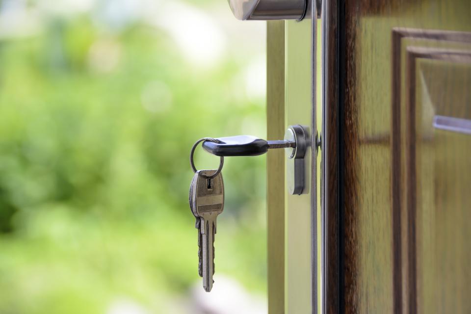 A key in a front door lock with greenery in the background